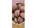 palm-jaggery-famous-vembar-karupati-small-0