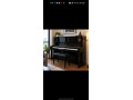 upright-professional-piano-small-0